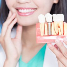 Closeup of smiling Tomball implant dentist holding model jaw